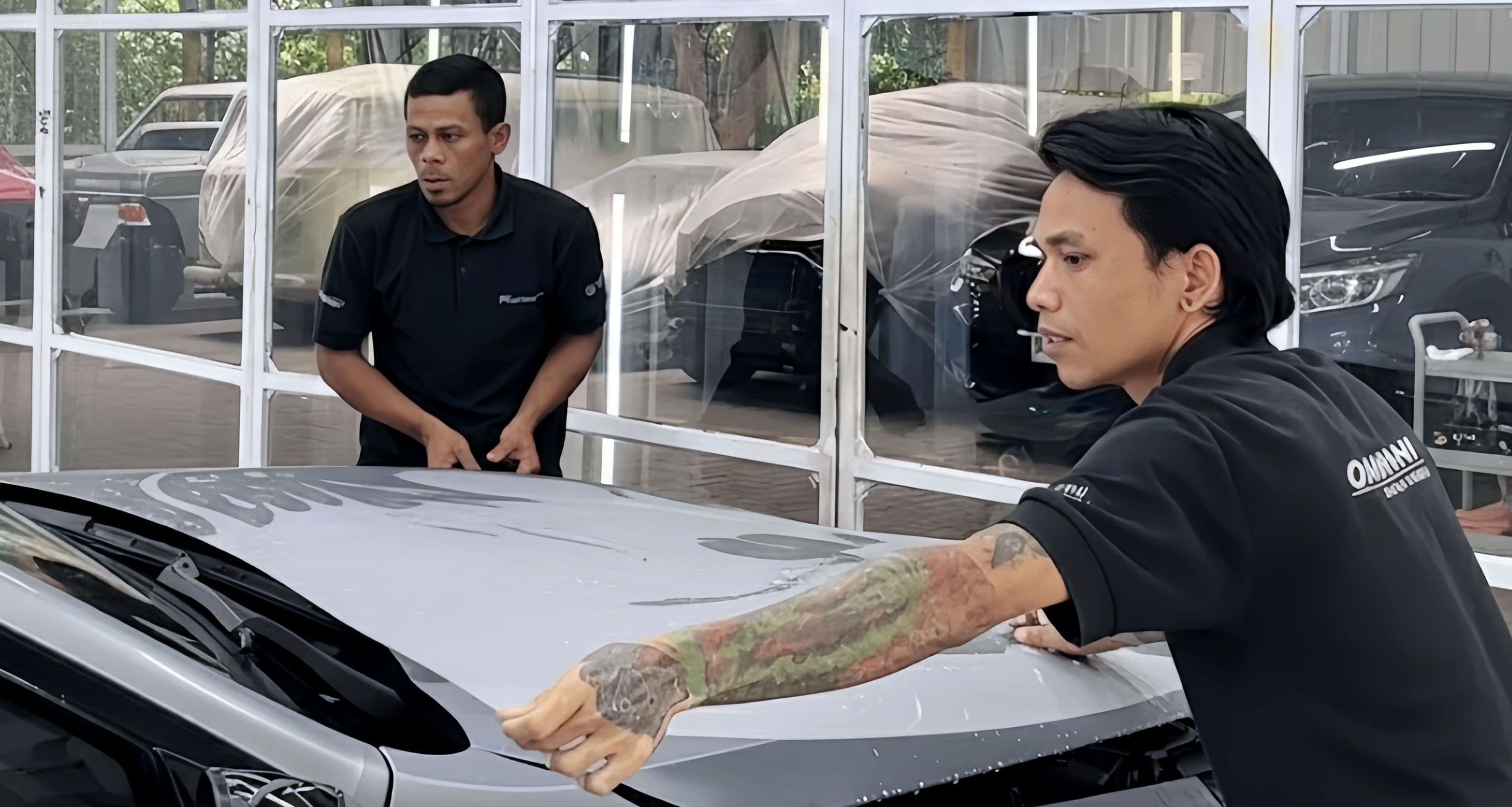 Paint Protection