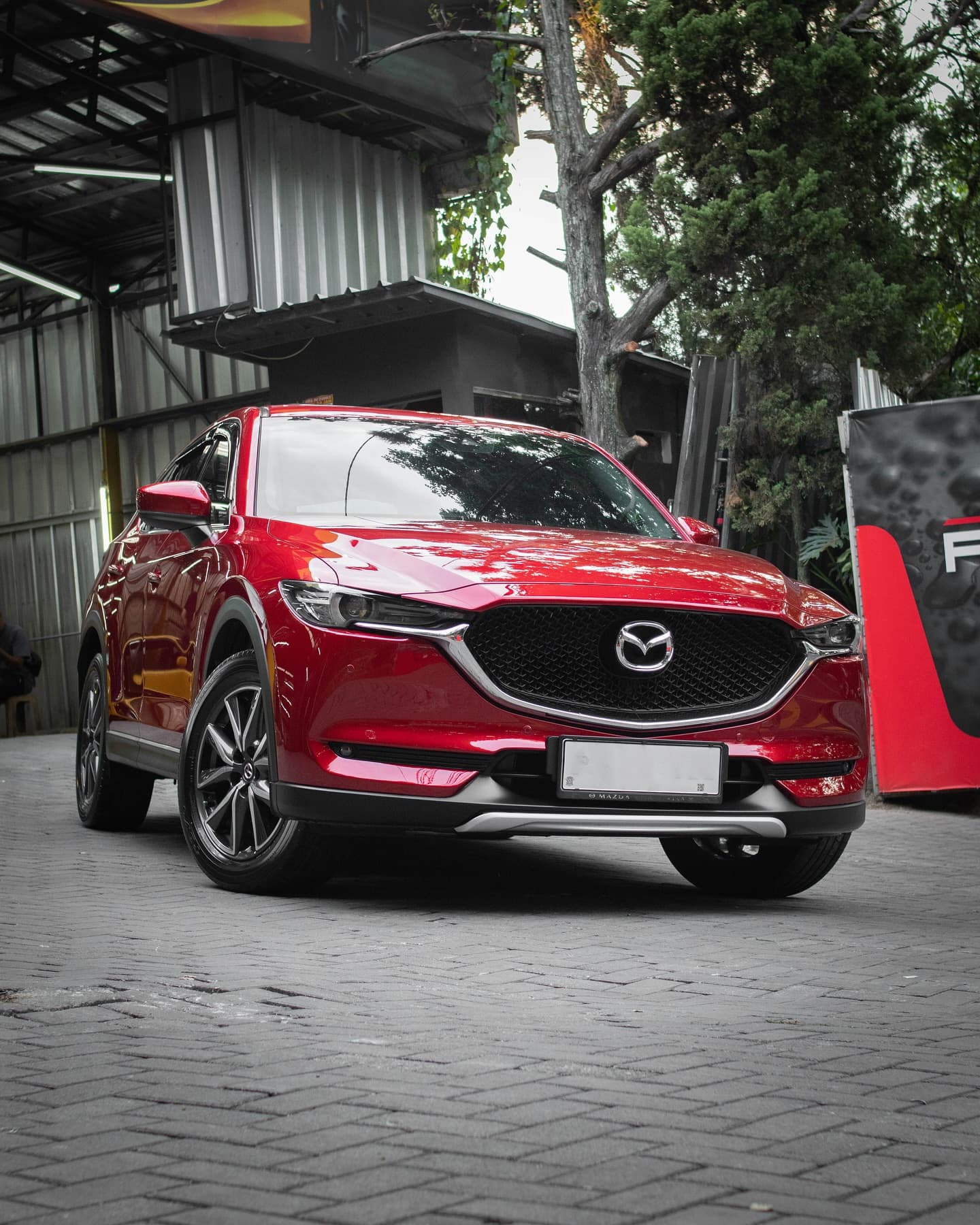 car-ppf